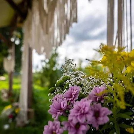 Jasminowe Wzgorze Hotel Trzebieszowice